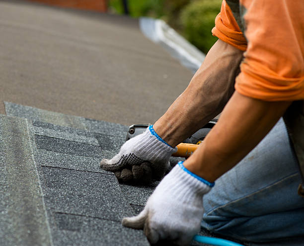 Roof Gutter Cleaning in Neffs, OH